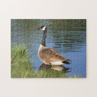 Puzzle L'Oie Du Canada Dans La Peinture À L'Huile D'Eau 