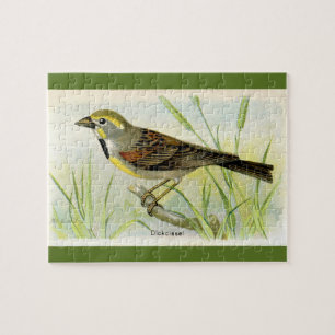 Puzzle L'oiseau Dicki