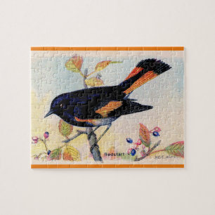 Puzzle L'oiseau Redstart