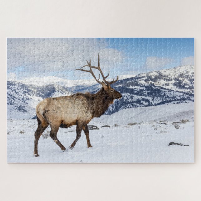 Puzzle Lone Bull Elk | Parc national de Yellowstone (Horizontal)