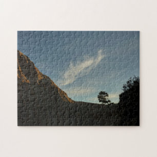 Puzzle Lone Torrey Pine Californie Sunset Paysage
