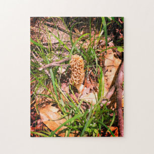 Puzzle Lone Yellow Morel