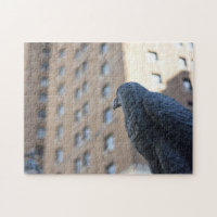 Lookout Owl Herald Carré Manhattan New York City