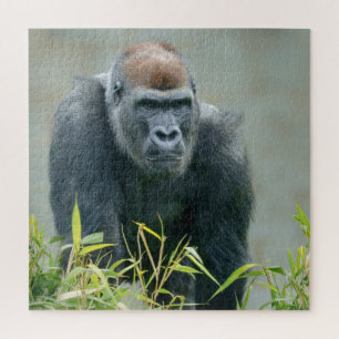 Puzzle Lope de Gorilla Blackback