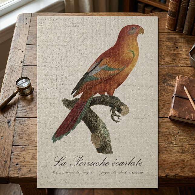 Puzzle Lori de Bornéo, Trichoglossus borneus (Red Lory or Eos Bornea, Trichoglossus borneus. Jigsaw Puzzle)