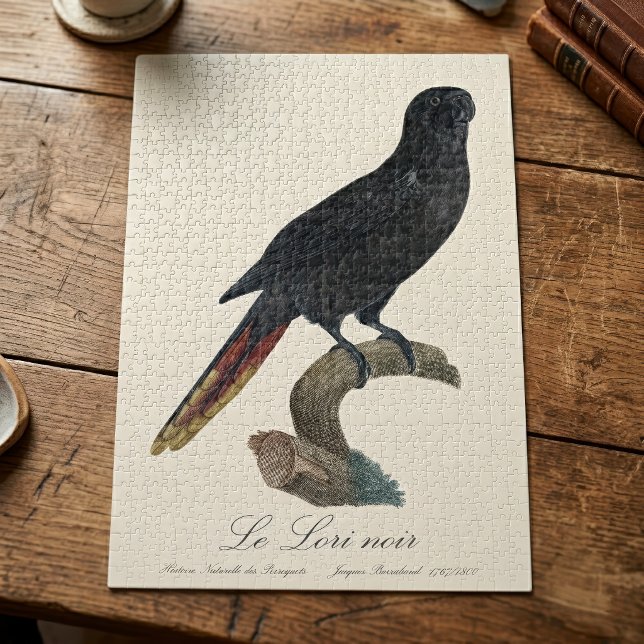 Puzzle Lori noir ou Lori à bec rouge, Chalcopsitta atra (Black Lory or Red-Quilled Lory, Chalcopsitta atra. Jigsaw Puzzle)