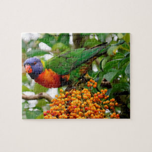 Puzzle Lorikeets arc-en-ciel Australie