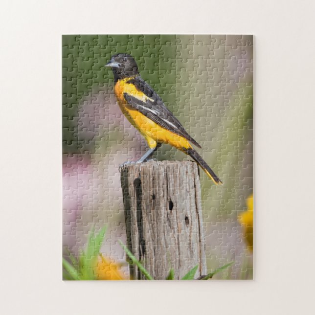 Puzzle Loriole de Baltimore femelle dans un jardin fleuri (Vertical)