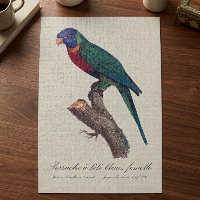 Puzzle Loriquet arc-en-ciel femelle, Trichoglossus molucc (Perruche a tete bleue, femelle / Rainbow lorikeet, female. Jigsaw Puzzle)