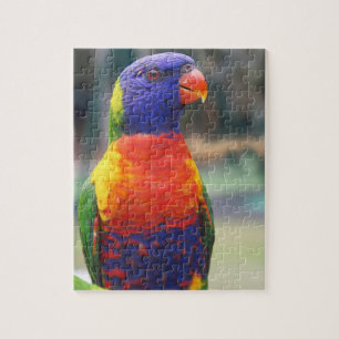 Puzzle Loriquet arc-en-ciel (Trichoglossus haematodus 2