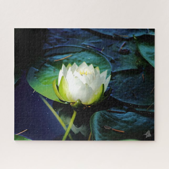 Puzzle Lotus blanc brillant (Horizontal)