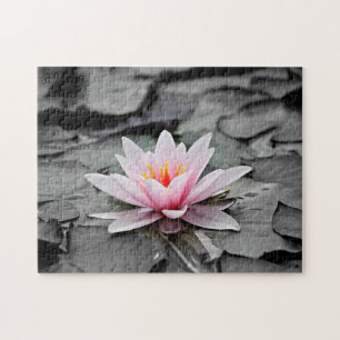 Puzzle Lotus rose