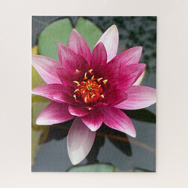 Puzzle Lotus rose (Vertical)