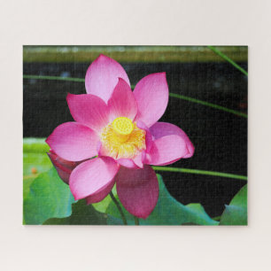 Puzzle Lotus rose chaud