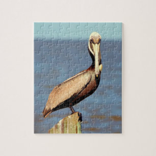 Puzzle Louisiane Brown Pelican 4.jpg