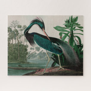 Puzzle Louisiane Heron Birds of America Audubon Print