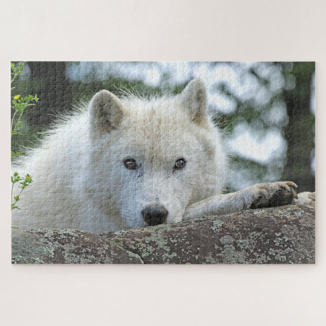 Puzzle LOUP ARCTIQUE 20x30 POUCES (Horizontal)