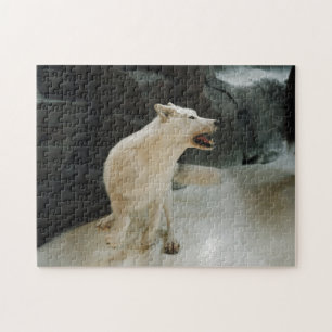Puzzle Loup blanc