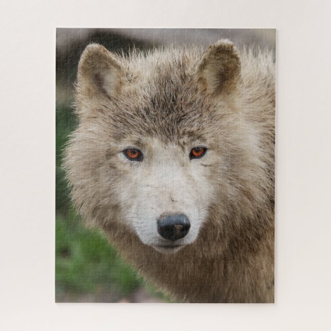 Puzzle Loup blanc boueux (Vertical)