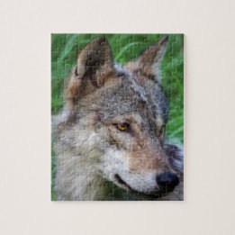 Puzzle Loup de bois