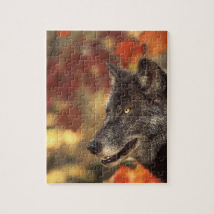 Puzzle Loup en automne