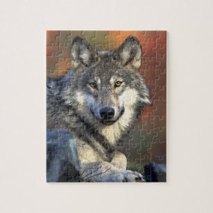 Puzzle Loup gris
