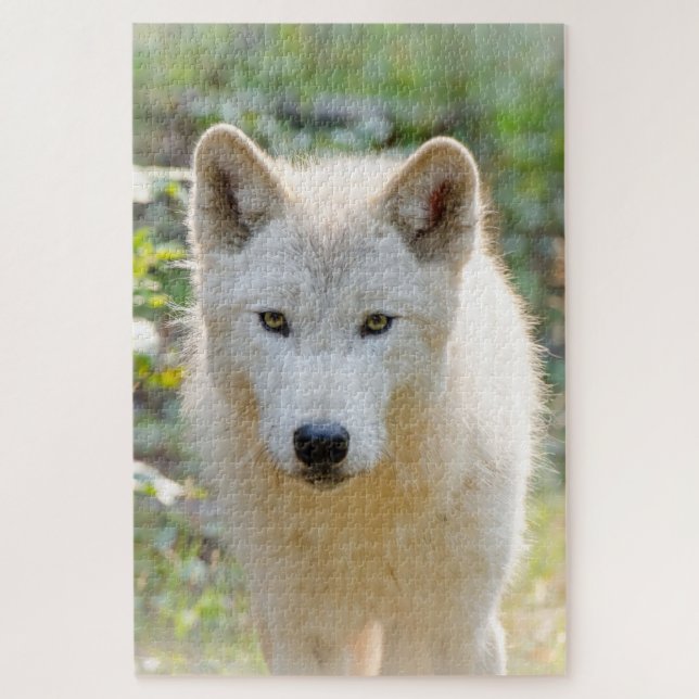 Puzzle Loup Gris, Belle Photographie Canine (Vertical)