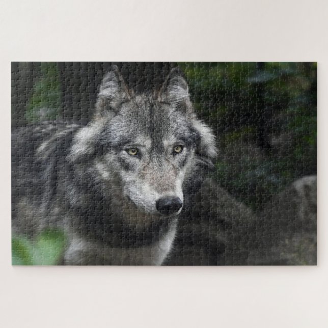 Puzzle Loup gris dans la nature (Horizontal)