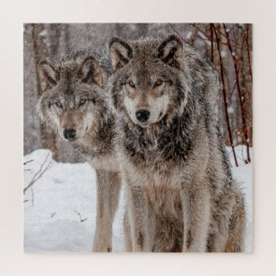 Puzzle Loup gris-oriental