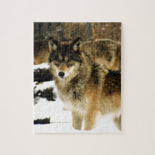 Puzzle Loups dans la neige