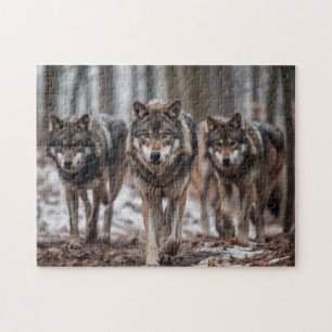 Puzzle Loups de Yellowstone