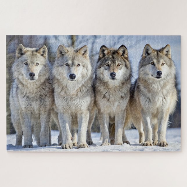 Puzzle Loups majestueux dans paysage neigeux, faune (Horizontal)