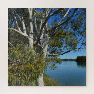 Puzzle L'Ours De Koala Dormait Dans Un Arbre De Gomme,