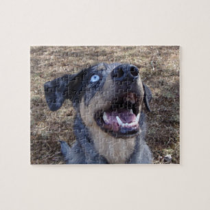 Puzzle Lousiana Catahoula Leopard Dog