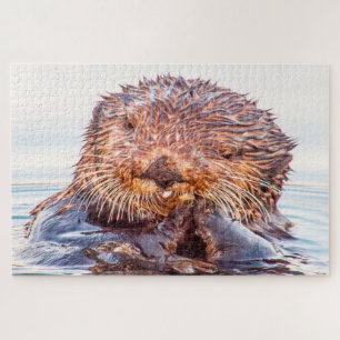 Puzzle Loutre de mer