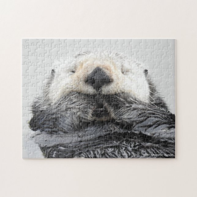 Puzzle Loutre de mer de sommeil (Horizontal)