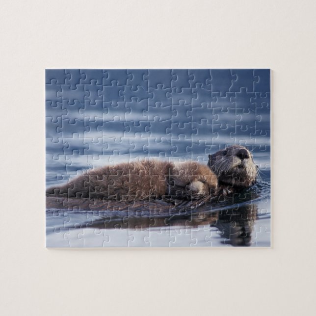 Puzzle loutre de mer, Enhydra lutris lutris (Horizontal)