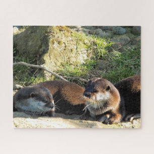 PUZZLE LOUTRES