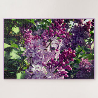 Puzzle Lovely Lilacs Bloom in Ohio Springtime
