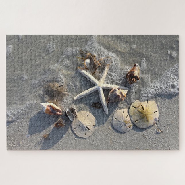 Puzzle Low Tide Beach Trésors, Floride (Horizontal)