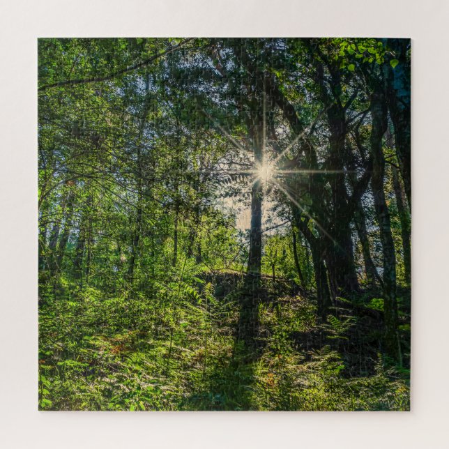 Puzzle Lumière dans la forêt (Vertical)