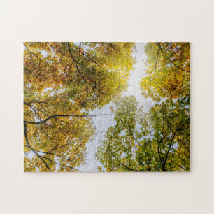 Puzzle Lumière Du Soleil À Travers Les Cartes À Sucre D'A