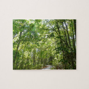 Puzzle Lumière du soleil sur le chemin en bois au Centenn