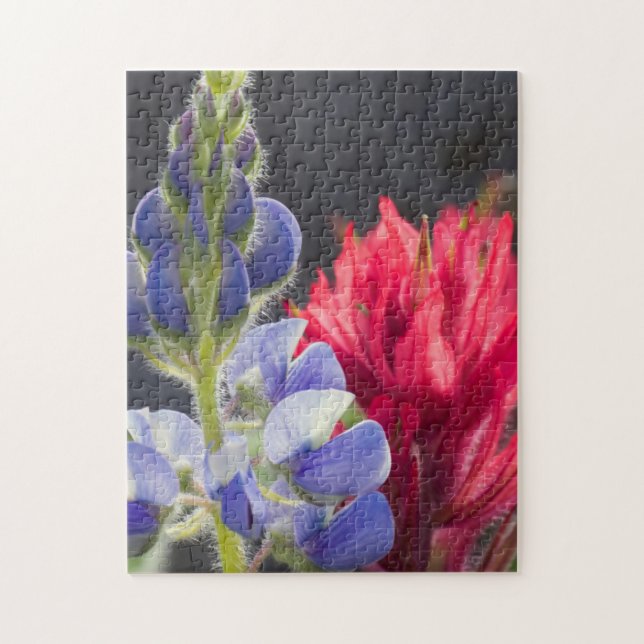 Puzzle Lupin argenté, Pinceau lavande (Vertical)