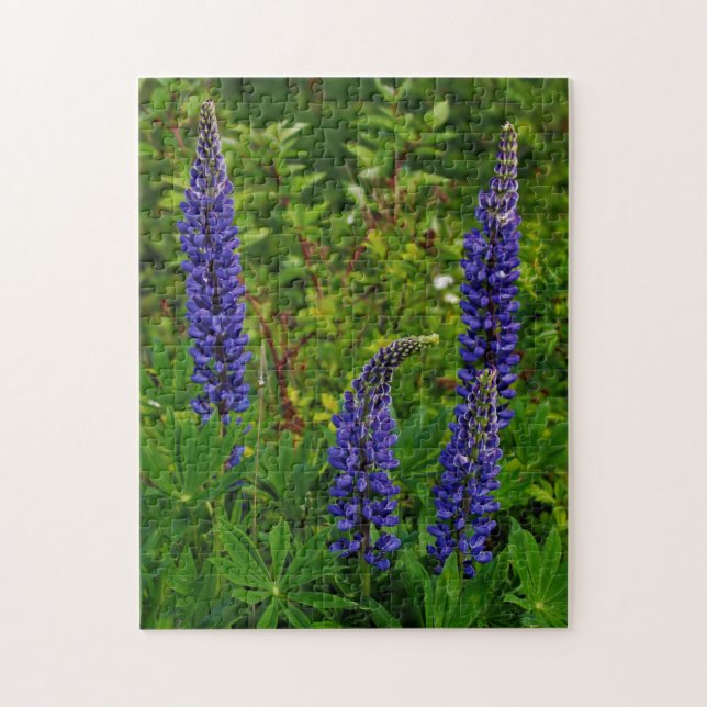 Puzzle Lupines (Vertical)