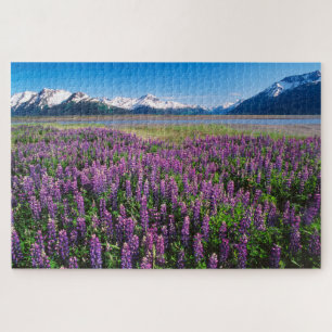 Puzzle Lupines en fleur   Kenai Mountains, Alaska