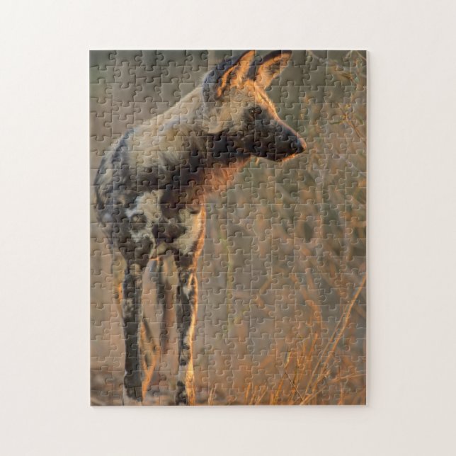Puzzle Lycaon Pictus (Lycaon Pictus), Kruger (Vertical)