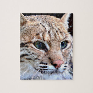 Puzzle Lynx