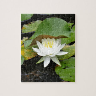 Puzzle Lys blancs