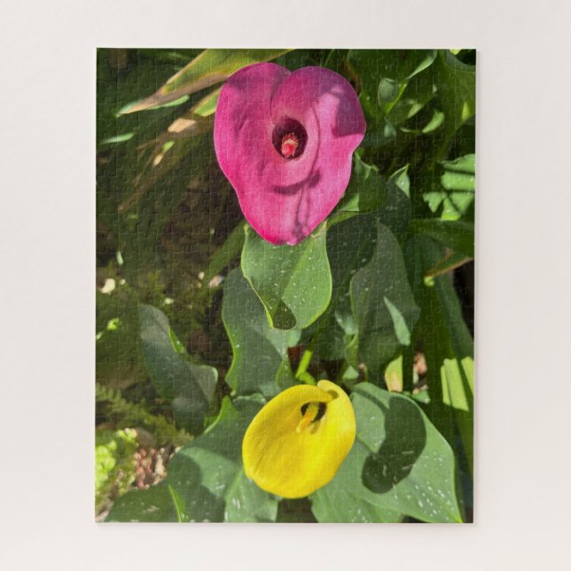 Puzzle Lys calla rose et jaune, San Mateo (Vertical)